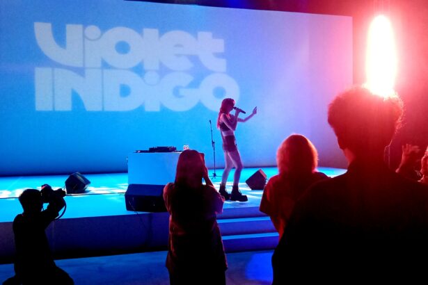 Singer on stage with a microphone under blue lighting; audience silhouettes in foreground and a backdrop reading 'Violet Indigo'.