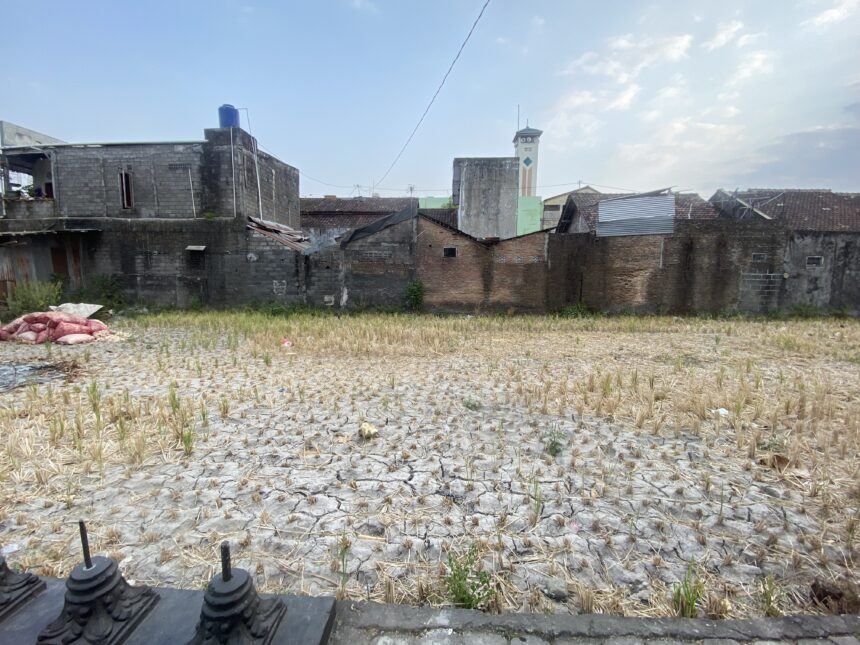 Dry, stubbled field in foreground with weathered brick buildings and a decorative tall clock-tower on the horizon under a blue sky.