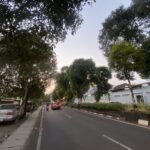 Urban street lined with tall trees, parked cars along the left curb, and a few moving vehicles at dusk.