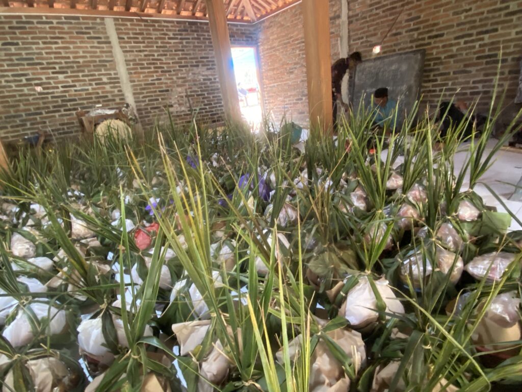 IMG_4655 - Mabur.co Rows of tall green plants in plastic bags line an unfinished brick-walled room with wooden columns and a doorway letting in light.