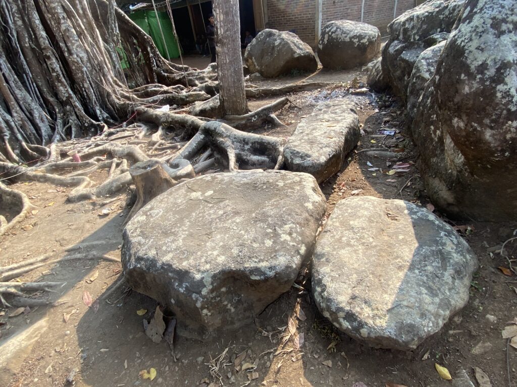 IMG_4680 - Mabur.co Massive tree roots spread across the ground among several large rocks in an outdoor area.