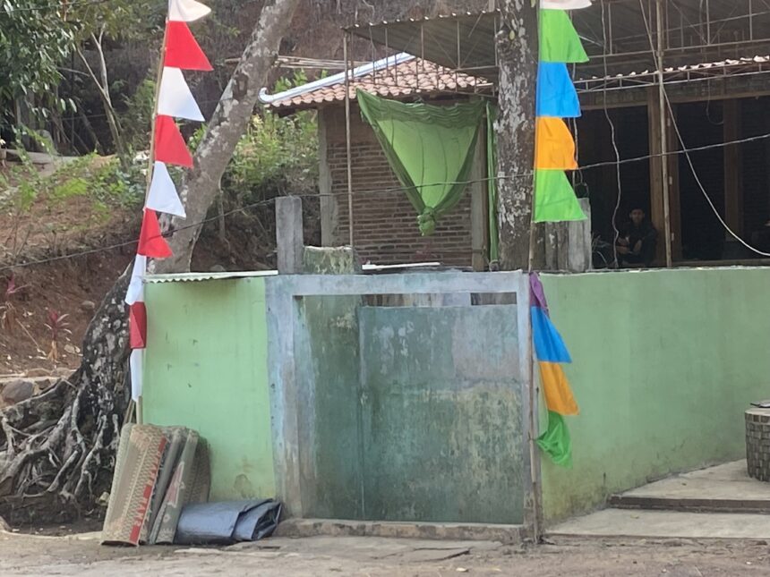 Green wall with a doorway, a brick structure, and colorful triangular fabric flags strung along a line outside.
