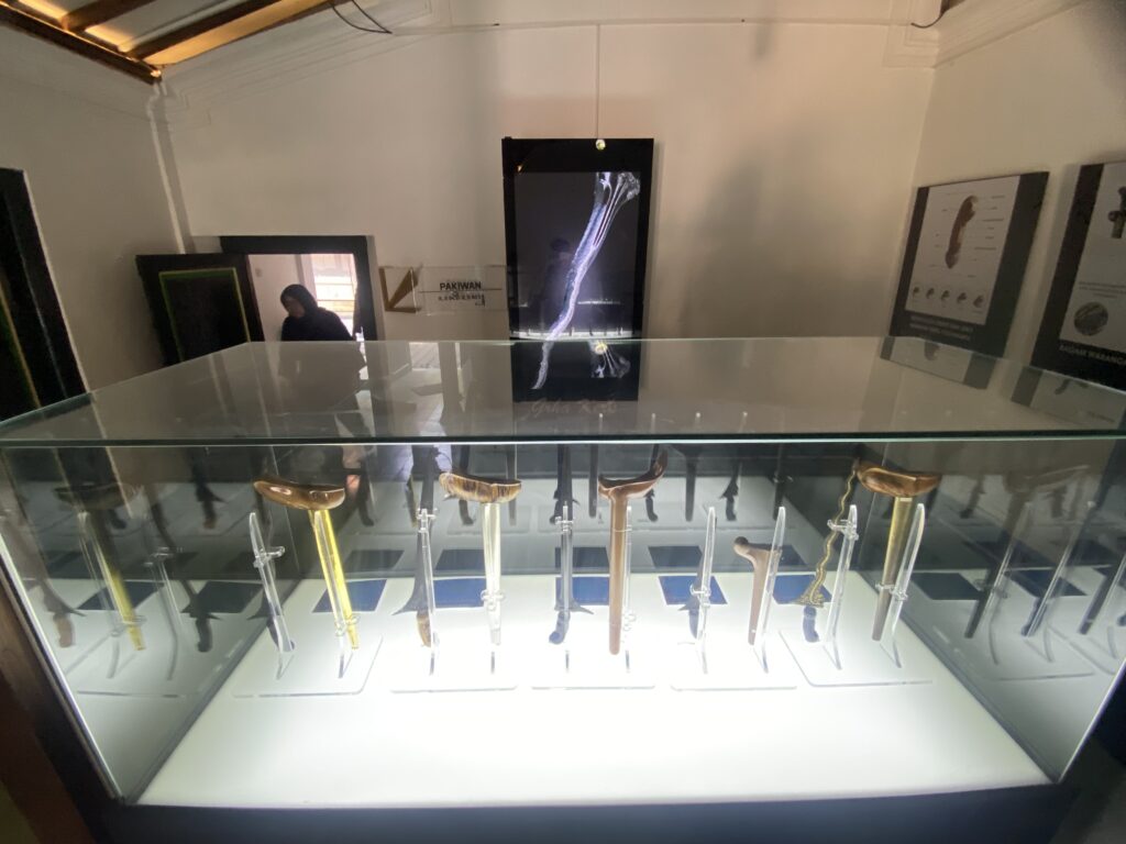 Glass display case holding a row of curved-blade daggers on clear stands in a museum exhibit set-up.