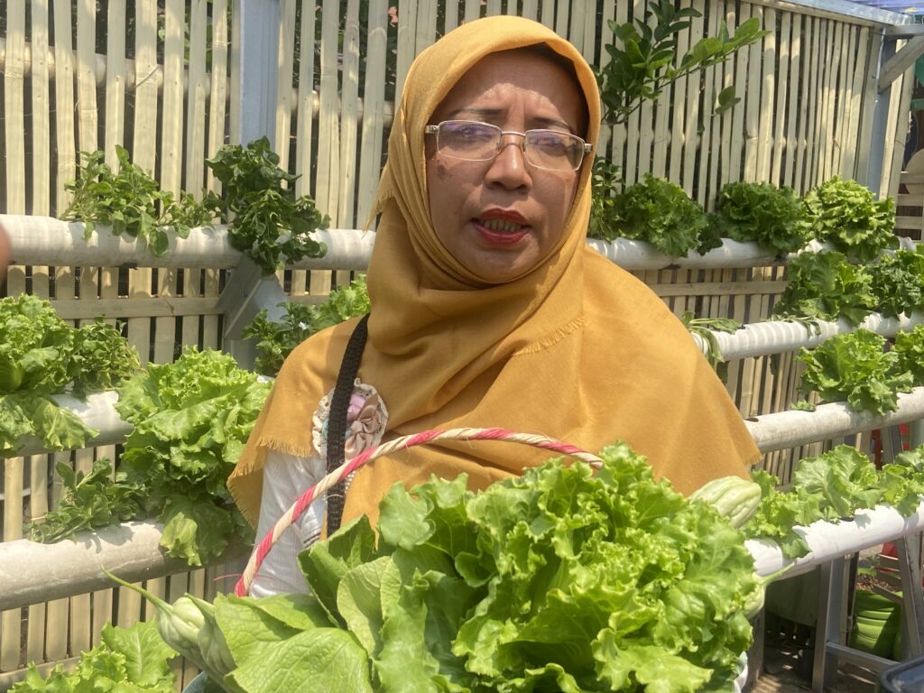 Woman wearing an orange hijab and glasses stands among vertical rows of green lettuce plants outdoors.