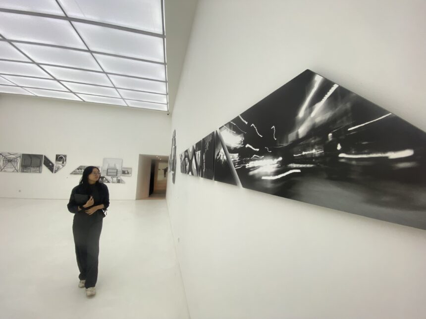 A woman in black stands in a white gallery, looking at large black-and-white panel art along the wall.
