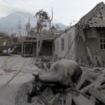 Destroyed village street with collapsed roofs, rubble, and distant mountains; signs of severe disaster.