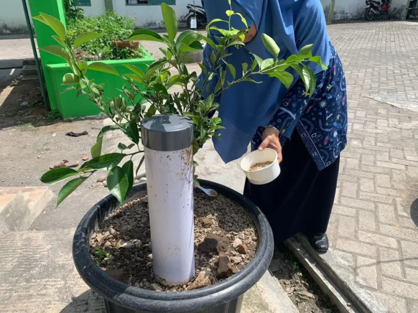 Person in blue clothing waters a young tree in a large outdoor planter using a white cup.