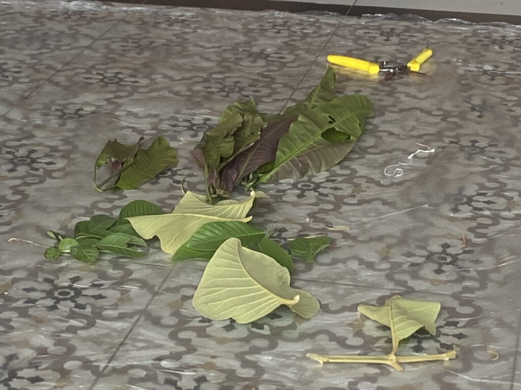 Leaves scattered on a gray camouflage surface with a small yellow tool visible in the background, near the upper right corner.