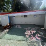 Two people kneeling by a shallow pool in a courtyard, petals scattered on a turquoise mosaic floor under a red-and-white canopy.