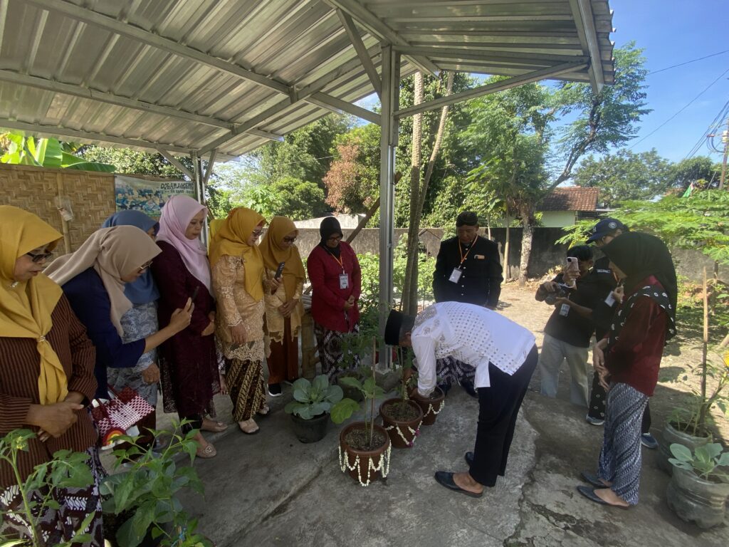IMG_8447 - Mabur.co Group of women in colorful hijabs and traditional clothing standing under a metal canopy, observing several potted plants on a concrete surface.