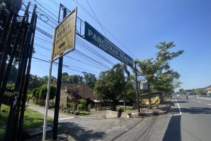 Street view with utility poles and many overhead power lines beside a paved road and blue sky, tropical trees visible in the background.