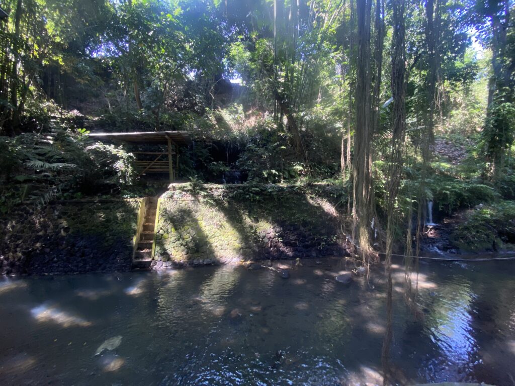 Tropical riverside with a mossy stone embankment, wooden steps, and dense jungle foliage nearby.