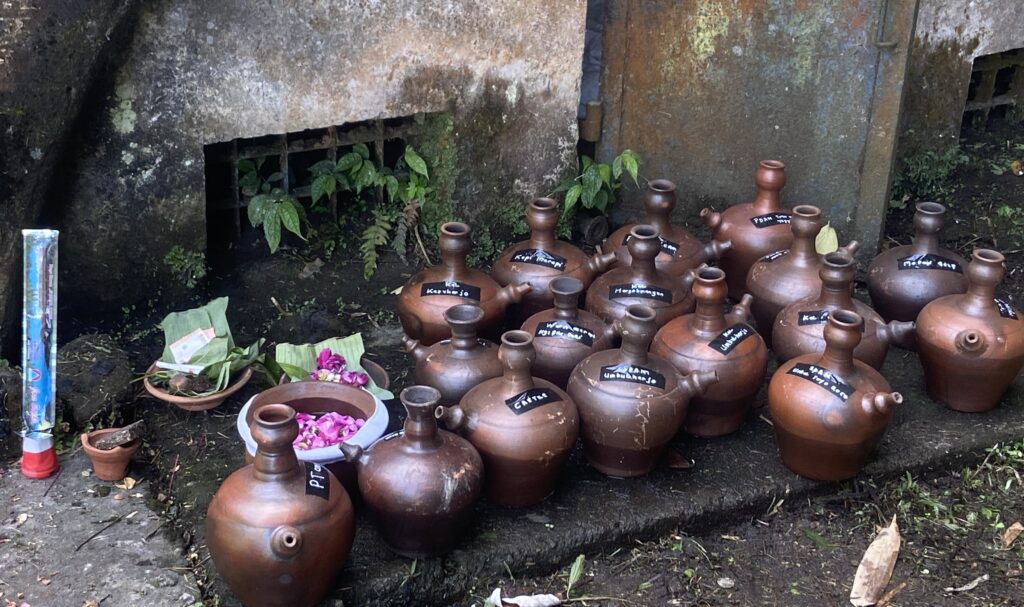 Row of brown terracotta pots with narrow necks and black label stickers, arranged outdoors beside a mossy wall and green plants