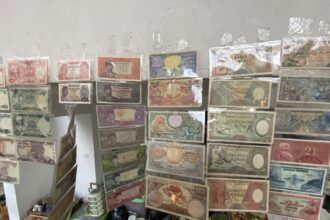 Display of Indonesian banknotes in plastic sleeves arranged on shelves, showing multiple colorful denominations of Rupiah.