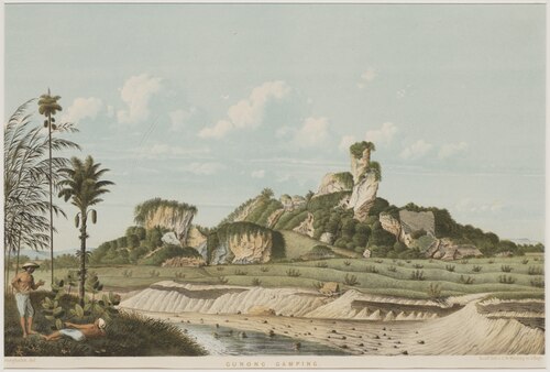 Old illustration of Gunong Lamping coastal landscape with palm trees, sandy terraces, and a distant rocky hill in the background.