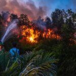 A group of people in colorful clothing spraying water toward a forest fire at dusk; flames and smoke rise behind trees.