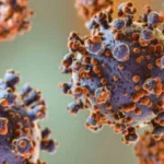 Close-up illustration of virus particles with spike proteins (coronavirus) in purple with orange spikes on a blurred background, magnified.