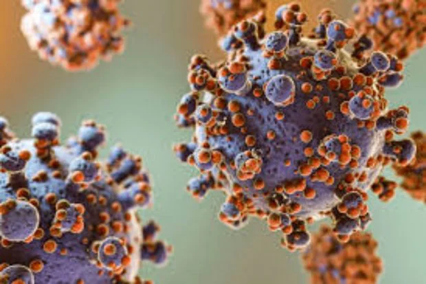 Close-up illustration of virus particles with spike proteins (coronavirus) in purple with orange spikes on a blurred background, magnified.