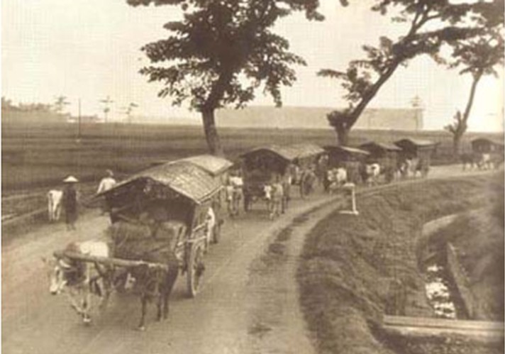 Old photograph of a line of horse-drawn carts with thatched coverings traveling along a dirt rural road, with people walking beside them and trees overhead.