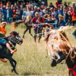 Riders on galloping horses compete in a traditional grassy-field race, with a large crowd watching in the background.