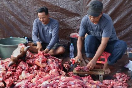 Two men chopping and sorting large chunks of raw meat on a wooden board, surrounded by a heap of red meat under a tarp backdrop.