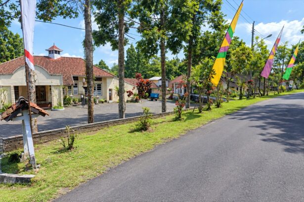 Street view of a village main road with a cream building and red-tiled roof on the left, and colorful flags along the road on a sunny day