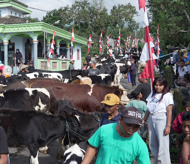 Screenshot 2026-04-01 at 09-34-40 2 Instagram - Mabur.co