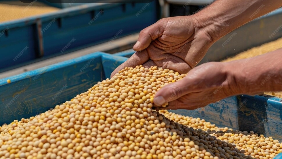 Pemerintah Tetapkan HAP Kedelai Rp11.500 per Kilogram, Harga Tahu dan Tempe Masih Stabil