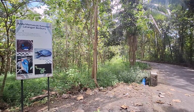 Screenshot_20260522_121257_Gallery - Mabur.co Indonesian sign warning: entering a no-hunting area, with photos of a bird, a turtle, a kingfisher, and a green snake in a forest setting.