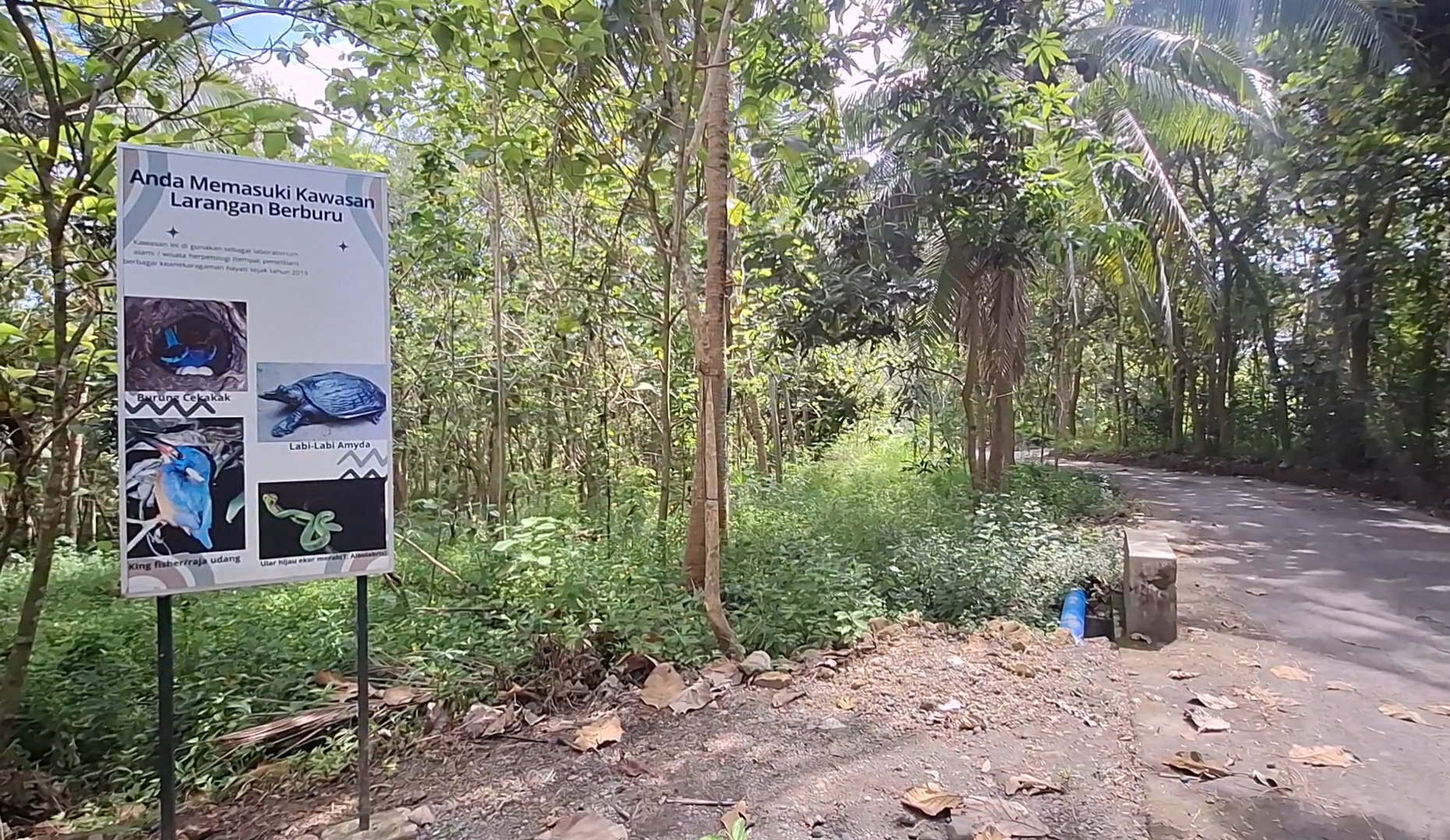 Indonesian sign warning: entering a no-hunting area, with photos of a bird, a turtle, a kingfisher, and a green snake in a forest setting.
