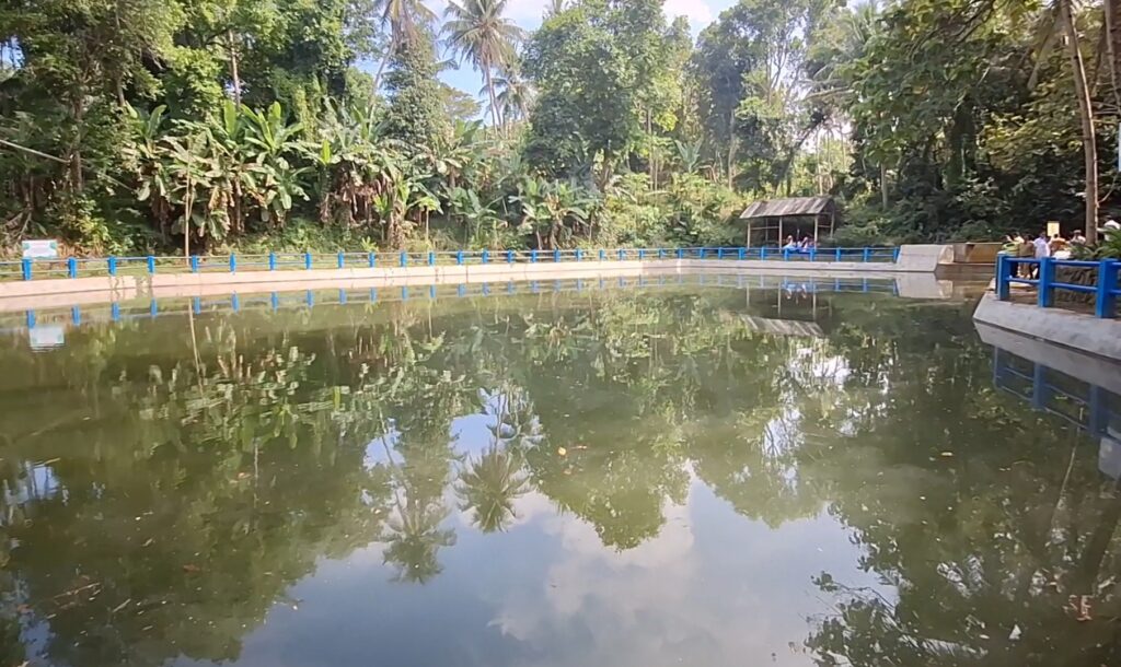 Screenshot_20260522_121404_Gallery - Mabur.co Calm tropical pond bordered by blue railings with a dense jungle of banana trees and palms; reflections on still water.