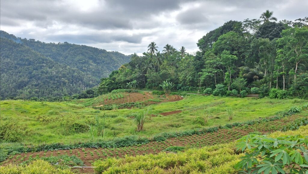 Terraced farmland in a green valley with forested hills and cloudy sky on top of a lush landscape.