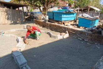 Man crouching and placing stones to form a circular garden bed or pit in a construction yard with blue crates and scattered materials nearby.