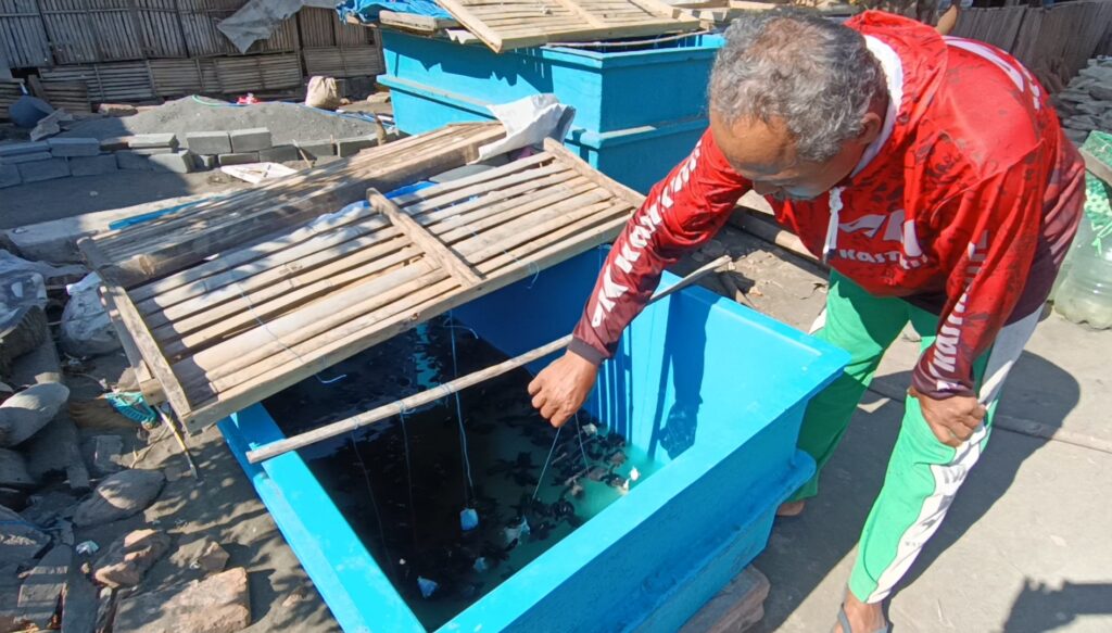 Screenshot_20260613_180827_Gallery - Mabur.co Man in a red jacket leans into a bright blue plastic tub filled with water in a cluttered yard.