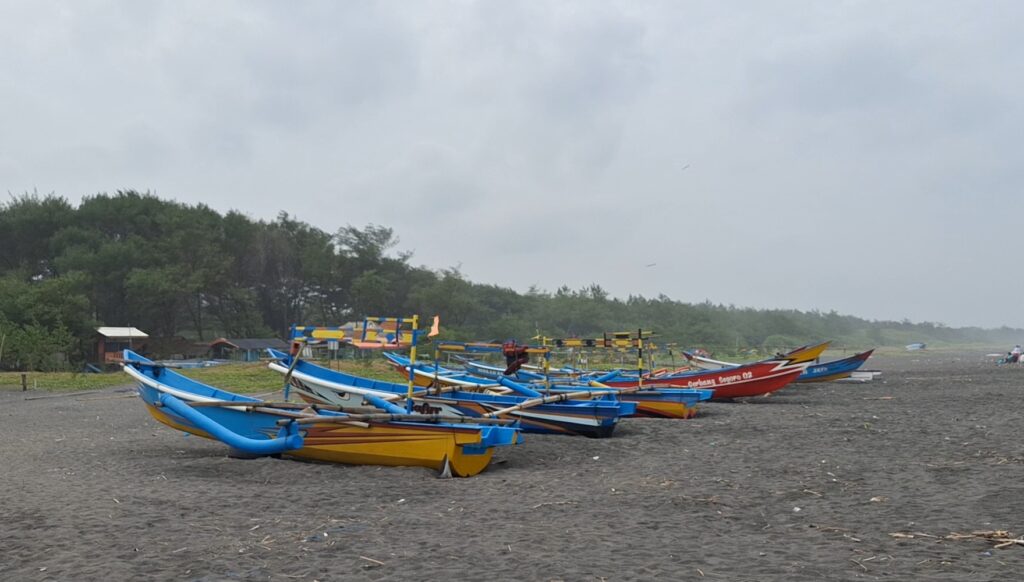 Screenshot_20260614_195936_Gallery - Mabur.co Row of colorful small fishing boats on a dark sandy beach with a forest in the background.