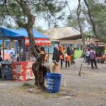 Outdoor market scene with blue canopy stalls, people browsing and vendors under tents among trees in a village square