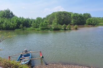 Blue wooden boat with oars moored at the rocky riverbank, calm water and dense green trees beyond under a blue sky.