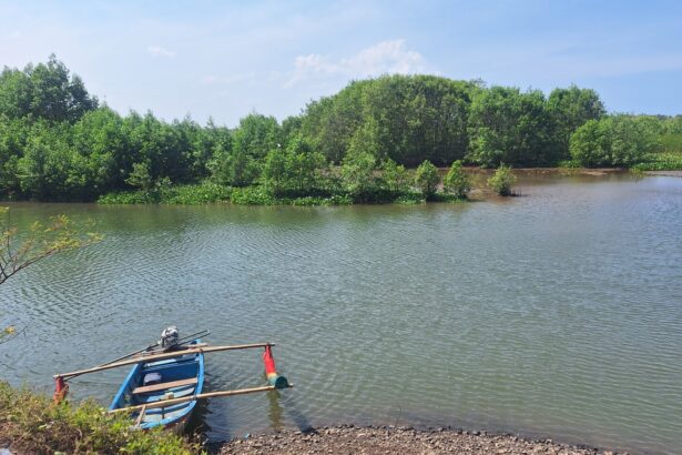Blue wooden boat with oars moored at the rocky riverbank, calm water and dense green trees beyond under a blue sky.