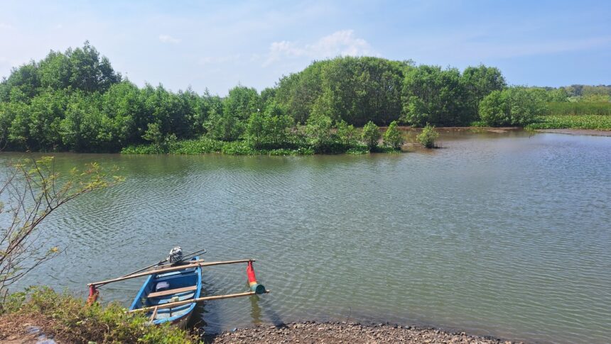 Screenshot_20260713_183320_Gallery - Mabur.co Blue wooden boat with oars moored at the rocky riverbank, calm water and dense green trees beyond under a blue sky.
