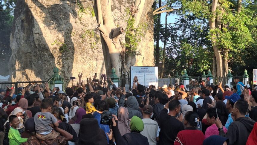 Large crowd gathered in front of a massive rock formation, with people raising hands toward a central notice board/signage and a green fence behind them.