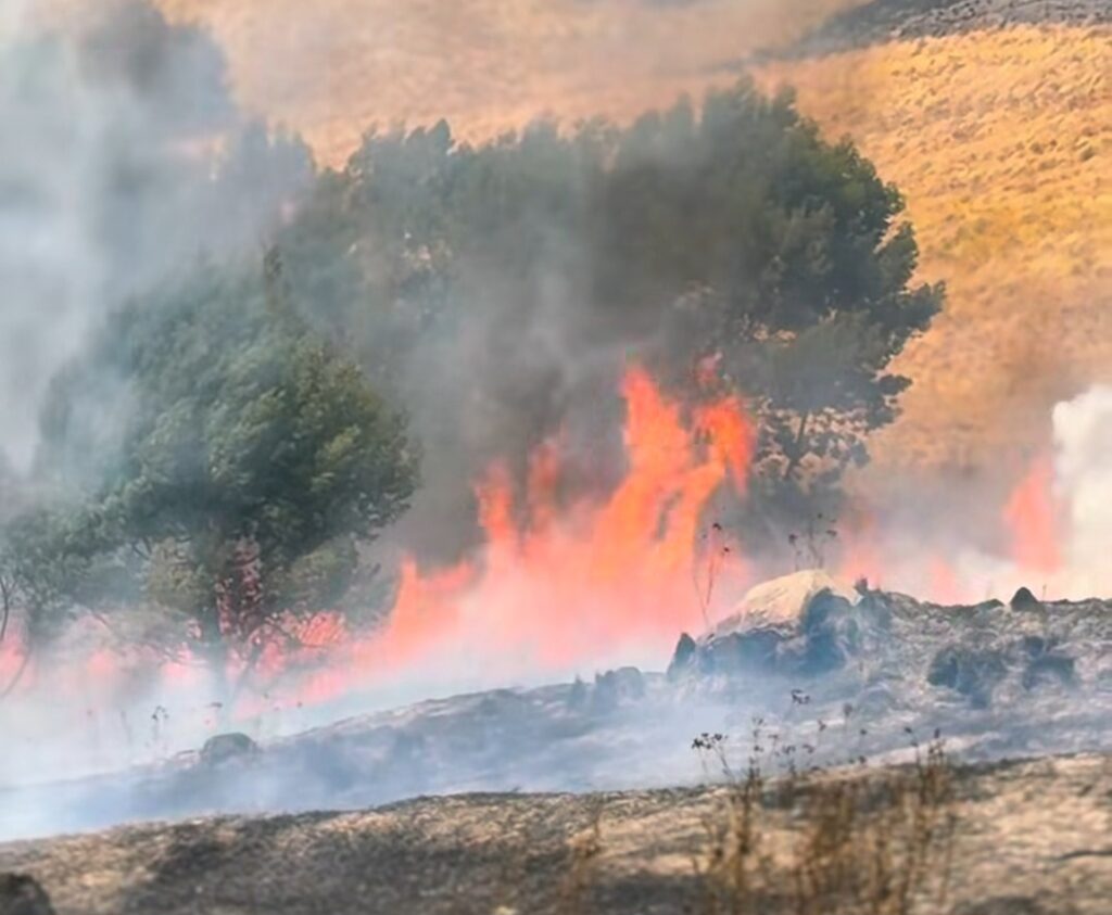 Wildfire burning through a dry field with orange flames and smoke around trees.