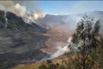 Volcanic eruption with lava flow and smoke rising from a rocky slope; scorched hillside and sparse trees in the foreground.