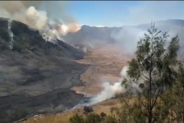 Volcanic eruption with lava flow and smoke rising from a rocky slope; scorched hillside and sparse trees in the foreground.