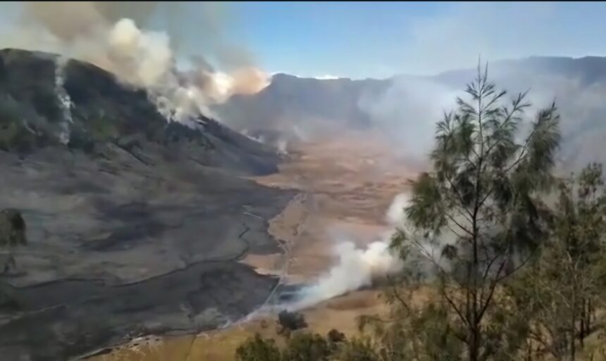 Volcanic eruption with lava flow and smoke rising from a rocky slope; scorched hillside and sparse trees in the foreground.