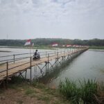 Rider on a scooter crosses a long bamboo bridge over a calm river, with Indonesian flags lining the railing and a rural landscape in the background.