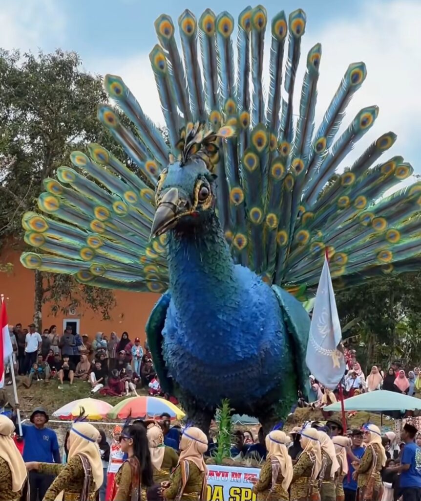 Screenshot_20260818_125752_Instagram - Mabur.co Giant blue peacock float with a fully fanned tail at a street parade, spectators in the background.