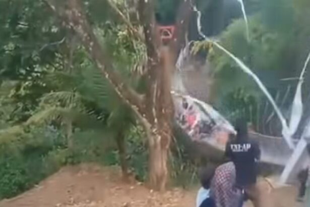 Group of people walking away from the camera along a dirt path beside a leafy green area, with a fountain or water jets visible in the background.