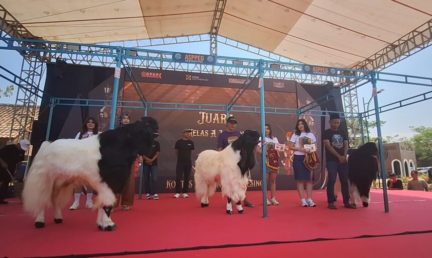 People on a stage with white and black goats walking on a red carpet during an event under a canopy backdrop.