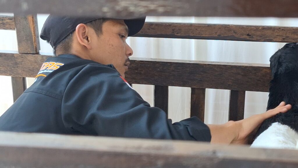 Screenshot_20260913_215456_Gallery - Mabur.co Young man in a dark jacket and cap leans over a wooden railing to pet a black-and-white dog.