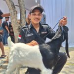 Uniformed man kneels beside a black-and-white dog on a leash at an outdoor event; Indonesian flag patch on his sleeve.